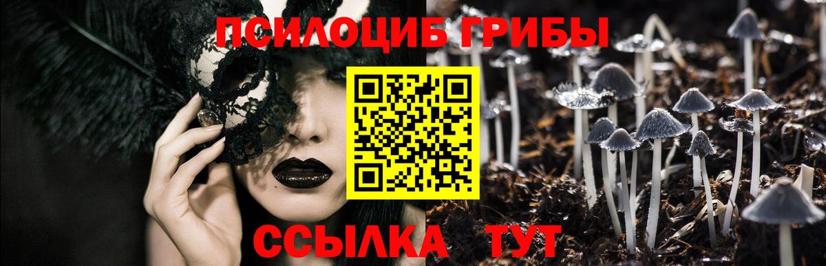 Псилоцибиновые грибы мицелий  Вход с VPN  Якутск 